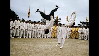 Best Fight Scenes EVER  Enter the Dragon  Bruce Lee vs OHara  1973  Jeet Kune Do  Movie [upl. by Merry401]