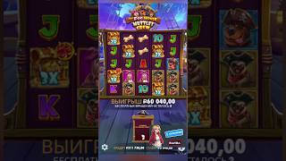 Новые собаки за 760к для Подписчика занос удача слоты топ slot шортс заносынедели [upl. by Jojo]