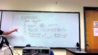 Lab Review  Prokaryote Morphology Unit 6 Prokaryotes [upl. by Lehctim]