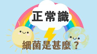 《正常識》EP6 細菌是甚麼？｜生活小百科｜生活常識 [upl. by Aratehs]