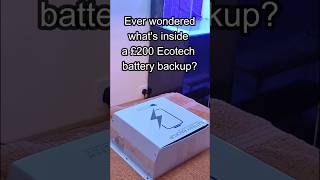 Whats inside the Ecotech battery backup [upl. by Haelem]