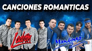 Grupo Mandingo vs Ladron Mix Exitos 2024  Romanticas Viejitas [upl. by Einotna]