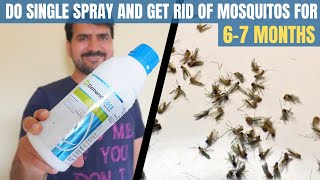 How to get rid of mosquitoes  how to keep mosquitoes away  Pest control mosquito treatment [upl. by Gloria]