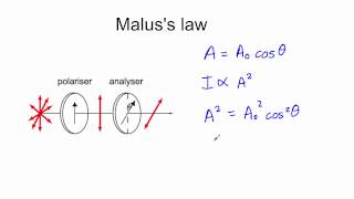 Malus law [upl. by Temple]