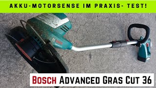 Bosch Advanced Grascut 36 AkkuMotorsense »PowerHärtetest»  Bosch Akku Rasentrimmer Praxistest [upl. by Netfa384]