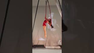 Circus trapeze live performance [upl. by Nayb]