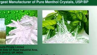 Pure Natural Menthol Crystals Menthol Crystal USPBPIP [upl. by Nivrag]