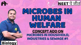 Microbes in human Welfare Class 12 Biology NEET  NCERT Chapter 8  Household Industries Sewage 1 [upl. by Ilrahs]