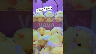 Chick  Win  Vava Claw Oshawa [upl. by Letsirk]