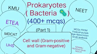 Prokaryotes Bacteria  Grampositive and Gramnegative 400 Mcqs part 1 Cell wall Structure mcqs [upl. by Studner]