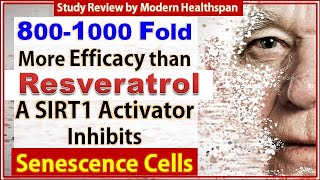 8001000 More Efficacy Than Resveratrol  SIRT1 Activator Inhibits Senescent Cells  Study Review [upl. by Knute611]