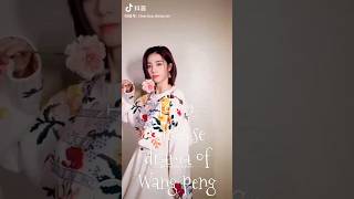 Top 9 Chinese Drama of Wang peng ❤️ [upl. by Eca]