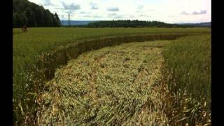 Crop circles 2013  Rheinau near Zurich Switzerland  3 July 2013 [upl. by Perle343]