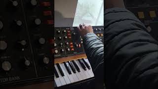 How We Make The Epic Synth Music on Quinns Ideas shorts [upl. by Llehcim]