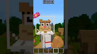 Choose skibidi or sandy cheeks 🤣🤣😅😅 minecraft shorts [upl. by Anton]