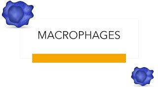 Macrophages Lecture [upl. by Annaor123]