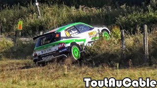 WRC ADAC Rallye Deutschland 2018  Crash amp Mistakes by ToutAuCable [upl. by Nylirret]