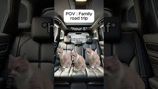 Cat memes 🐱 Family road trip catmemes relatable cat catshorts shorts family roadtrip [upl. by Feer382]