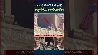 iSmart News  అంజన్న గుడిలో సెల్ ఫోన్ ఎత్తుకపోయి ఆటాడిచ్చిన కోతి   Monkey Cellphone  TV9 [upl. by Noneek]