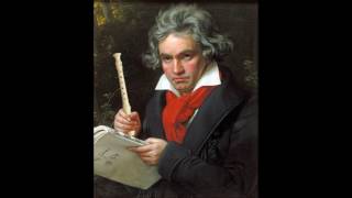 BEETHOVEN  5TH SYMPHONY  SHITTYFLUTED  200K SPECIAL [upl. by Llerud]