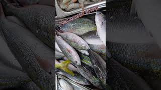 FISH MARKET IN RAS AL KHAIMAH fishing hunting shortsviral [upl. by Arocet]