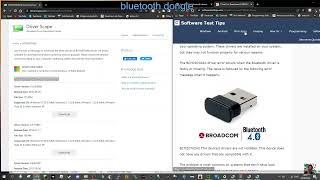 BUDGET BLUETOOTH DEVICE DRIVER BCM20702A0 Drivers Download [upl. by Aimak]