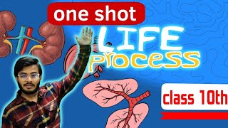 LIFE PROCESSES CLASS 10 SCIENCE BIOLOGY ONE SHOT  NCERT COVERED [upl. by Cassondra920]