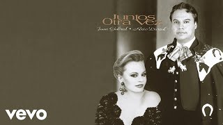 Juan Gabriel  El Principio Cover Audio [upl. by Alinna]