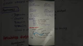 Temporomandibular joint [upl. by Oiramad679]