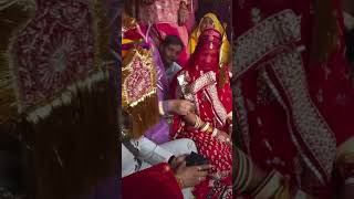 Rajputi wedding  youtubeshort love baisaculture wedding rajputbaisa trending wha [upl. by Eelanna]