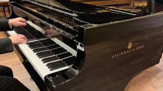 Steinway amp Sons D型 No495 [upl. by Aun744]