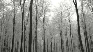 Sterbend  Depressing Paths Through Fullmoon Forests [upl. by Ahsener474]