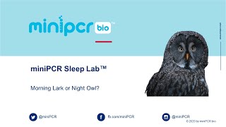 Live Demo miniPCR Sleep Lab™ [upl. by Fatsug447]