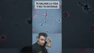 Te salvan la vida y tu ni te enterassupervivencia curiosidades sabiasque [upl. by Lallage]