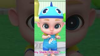 The Baby Shark Family 💖🦈👏 shorts babyshark nurseryrhymes 2 [upl. by Hortense]