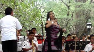 LILA DOWNS CANCION MIXTECA [upl. by Nnaeirual809]