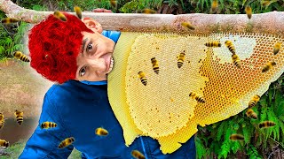 🔴Creando Miel con Mis Peligrosas Abejas Mascota🔴 [upl. by Atimed]