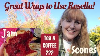 Make ROSELLA JAM RosellaLemon SCONES and MORE So Easy to GROW [upl. by Jael]