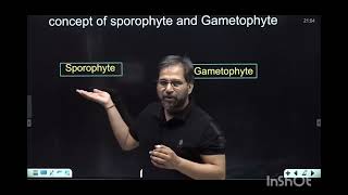 what is sporophyte and gametophyte animationsankalpbharat [upl. by Hoeve]