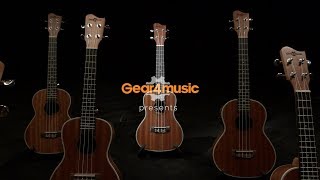 Sapele Concert Ukulele by Gear4music  Gear4music demo [upl. by Amling643]