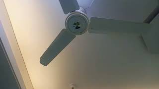 6 superstar premium ceiling fan short video [upl. by Noivart]