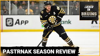 David Pastrnak Season in Review Elite NHL Winger IIHF World Champion [upl. by Bland14]