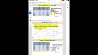 Market Failures and Externalities Chapter 4 [upl. by Willtrude]