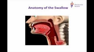 Stroke Education  Dysphagia [upl. by Horten612]