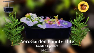 AeroGarden Bounty Elite Update 102024 [upl. by Saddler45]