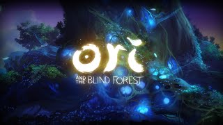 Lost in the Storm  FraTBoo Ori and the Blind Forest Remix [upl. by Atinet]