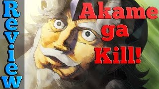 Akame ga Kill  Anime Review [upl. by Akemat]