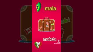 🇧🇷 mala vs maleta 🇲🇽 [upl. by Florry]