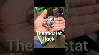 Thermostat Hack [upl. by Deelaw322]