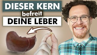 Fettleber Ade  Forschung bestätigt Unterstützung durch einen wilden Kern [upl. by Cleon]